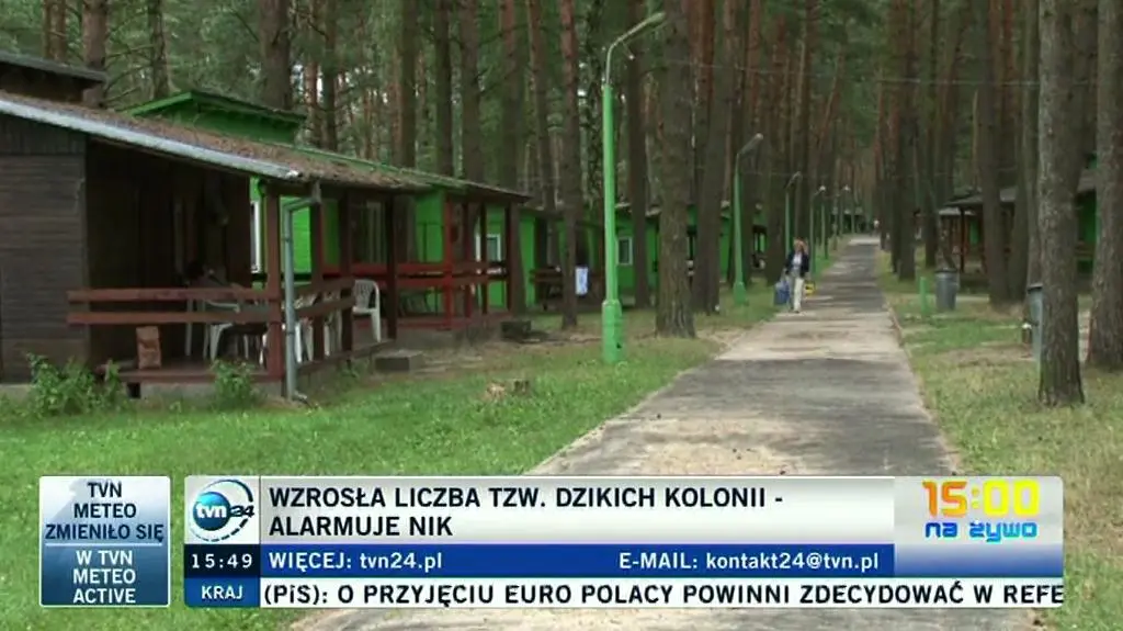 NIK: Coraz więcej dzikich kolonii