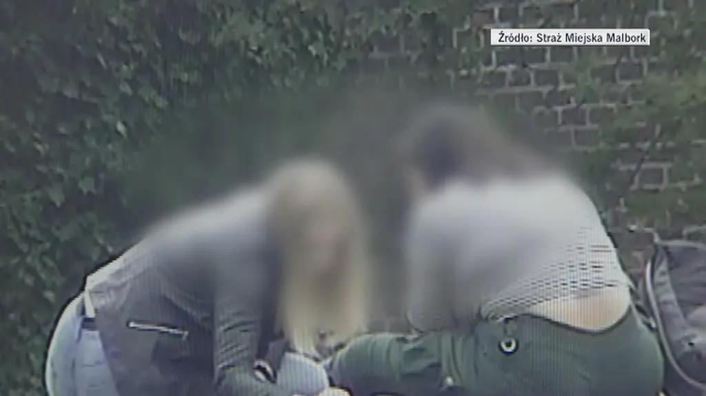 Wulgaryzmy na murach zamku (wideo bez dźwięku)