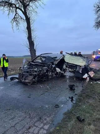 Auto rozbiło się na drzewie i stanęło w płomieniach