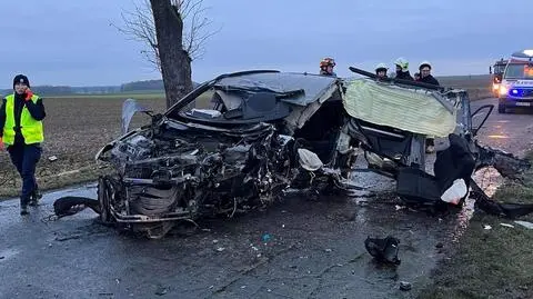 Auto rozbiło się na drzewie i stanęło w płomieniach