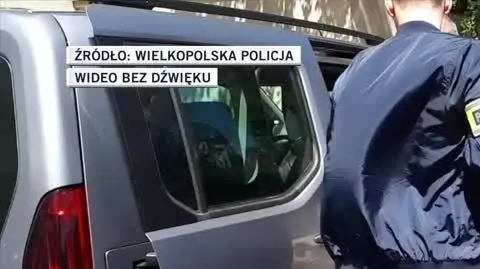 policja