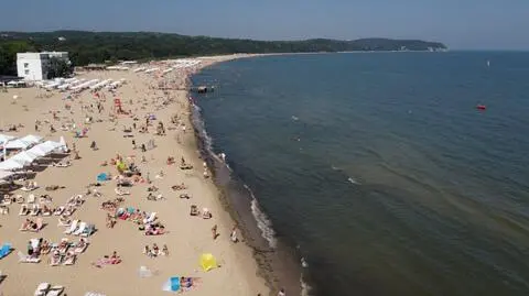 Sinice w Bałtyku i jeziorach. Gdzie można się kąpać?