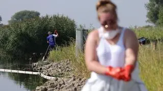 Wolontariusze usuwają martwe ryby na niemieckim brzegu Odry