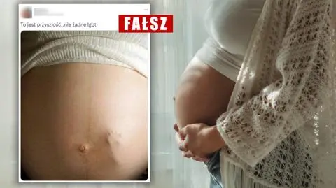 "Cud poczęcia"? To zdjęcie nie przedstawia prawdy