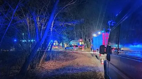Zjechał z drogi, uderzył w drzewo. Nie żyją dwie osoby
