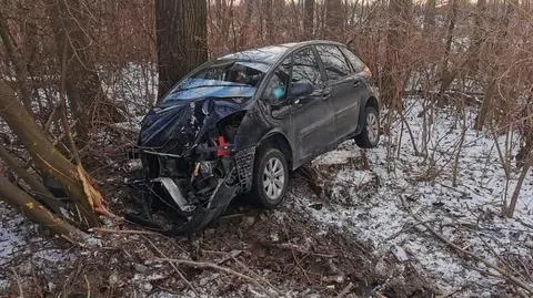 Pijana jechała z trójką dzieci. Zjechała z drogi, zatrzymała się na drzewie