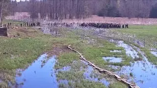Ponad 220 cudzoziemców próbowało przekroczyć polską granicę