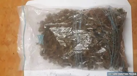 Podejrzewali, że 69-latek może mieć związek z narkotykami, w jego mieszkaniu znaleźli 300 gramów marihuany