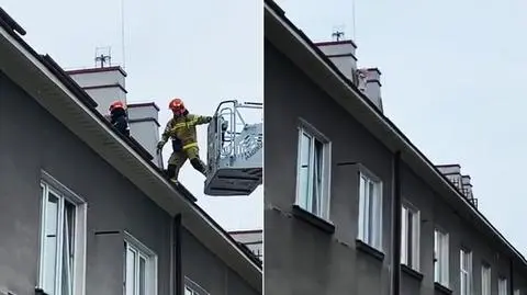 Mała dziewczynka chodziła po dachu