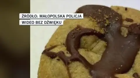 MAŁOPOLSKA POLICJA 2
