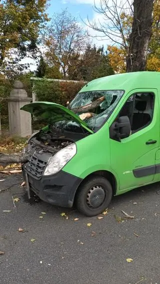 Wrocław - konar spadł na busa, ranny kierowca, wybita szyba