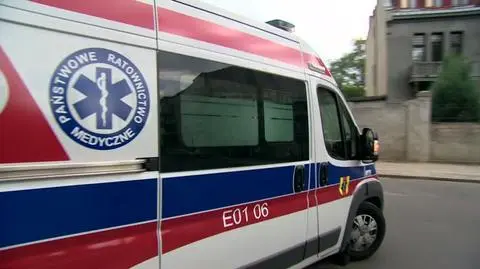 0208N399XR PIS DNZ CELEJ