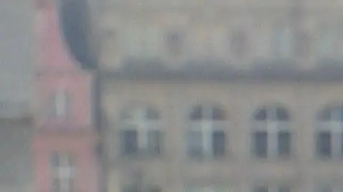 Schetyna: nieszczęśliwe wezwanie do bojkotu wyborów majowych miało decydujący wpływ na spadek sondażowy