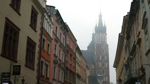 Mniejsza częstotliwość występowania astmy u dzieci i młodzieży z Krakowa. "Walka o czyste powietrze się opłaca"