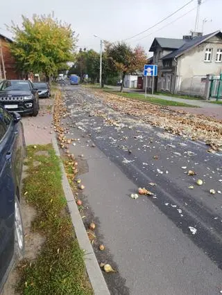 Cebula zasypała jedną z ulic w Gniewkowie (woj. kujawsko-pomorskie)