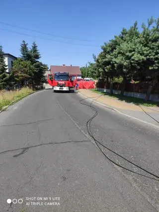 Drewniany słup uderzył w 22-latkę, straciła nogę