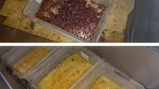 Podejrzanym grozi do 3 lat więzienia