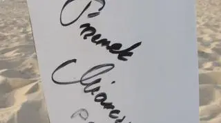 Statecznik Miarczyńskiego do wylicytowania 