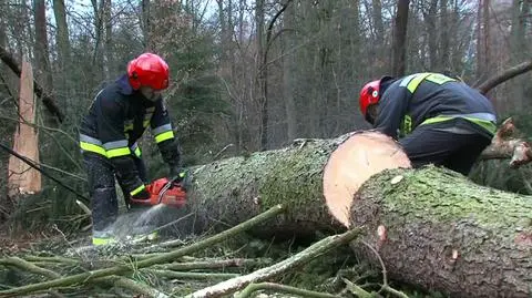 1250 interwencji straży pożarnej
