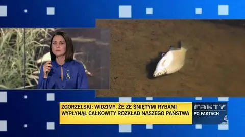 TVN24 Clean_20220813193738(9036)_aac