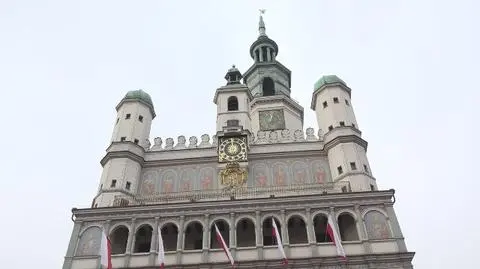 Nowe szaty poznańskich koziołków. Przebrano je na święta