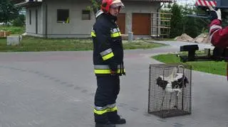 Interweniowała miejscowa OSP