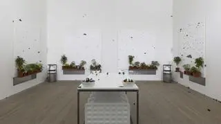 Retrospektywna wystawa Damiena Hirsta w Tate Modern