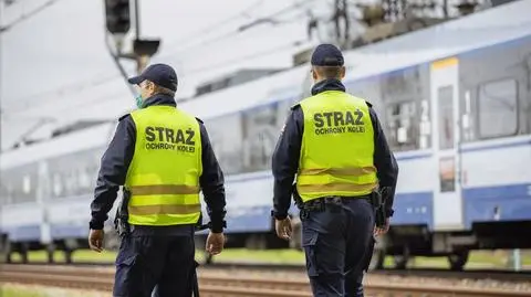 Nastolatkowie rzucali kamieniami w pociągi
