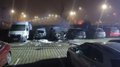 Do zdarzeniu doszło na osiedlu Bugaj w Pabianicach