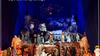 Żłóbek z 2009 roku 