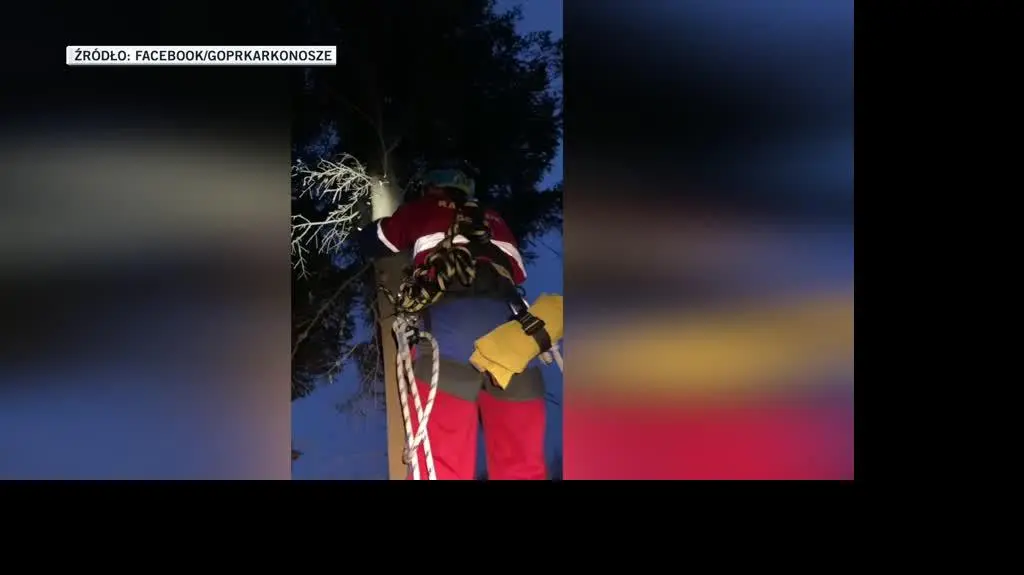 kam gora