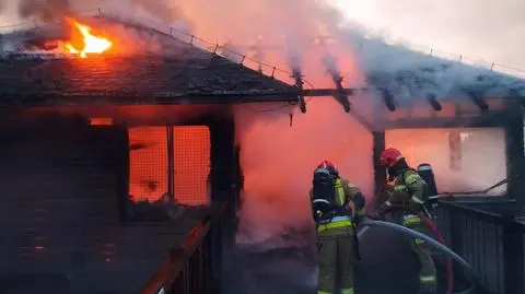Pożar w zoo w Borysewie