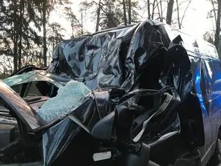 Na wyjeździe z Olsztyna w kierunku Dywit drzewo spadło na samochód