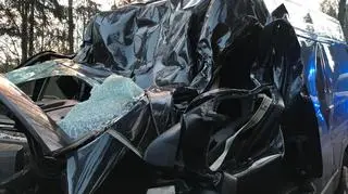 Na wyjeździe z Olsztyna w kierunku Dywit drzewo spadło na samochód