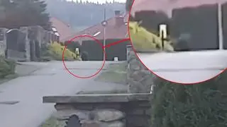 Niedźwiedź był widziany między domami w Bykowcach pod Sanokiem 