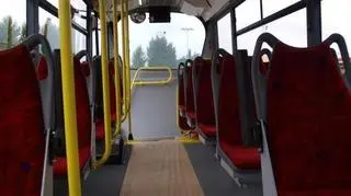 Minibusy będą jeździć przez cały rok, podobnie jak zwykłe linie autobusowe