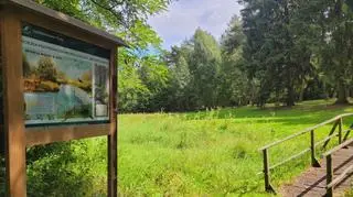 Ścieżka przyrodniczo-archeologiczna