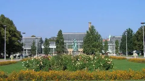 Palmiarnia czeka na remont. Są plany, brakuje pieniędzy