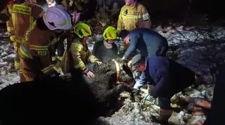 Dwa konie wpadły do bagna i nie mogły wyjść. Pomogli strażacy