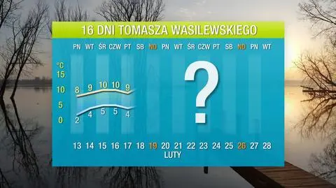 wasyl 16