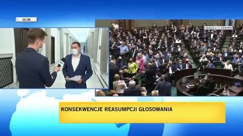 lajf wita motyka