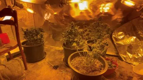 W mieszkaniu znaleziono też narkotyki