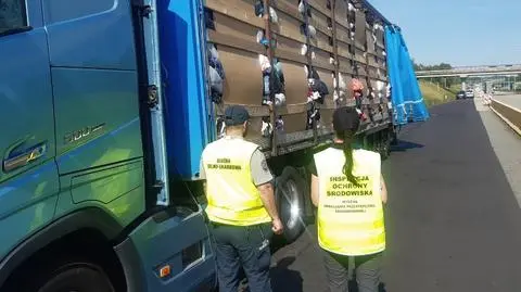 KAS zatrzymała nielegalny transport odpadów ze Szwajcarii
