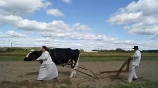 Nie zabrakło pokazów orki zwierzęcej
