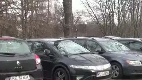 policja