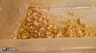 CBŚP zatrzymało osiem osób w związku z produkcją narkotyków