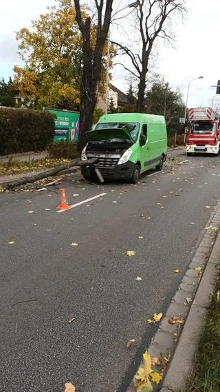 Wrocław - konar spadł na busa, ranny kierowca, wybita szyba