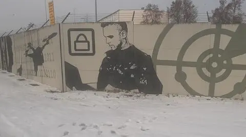 Służba ojczyźnie jak gra komputerowa? Tak Polska rozwija cyberwojsko