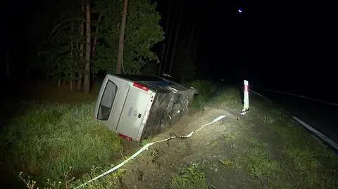 Najpierw miał zderzyć się z dzikiem, później autobus wpadł do rowu. Dziewięć osób poszkodowanych