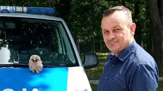 Policjant uratował małą sowę